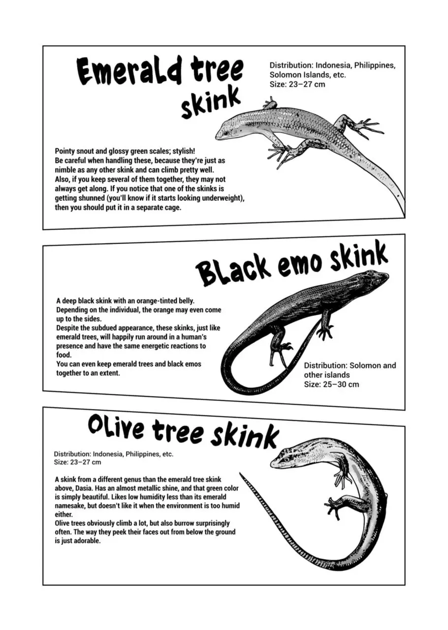 Reptile Secrets Chapter 121 page 13 - 