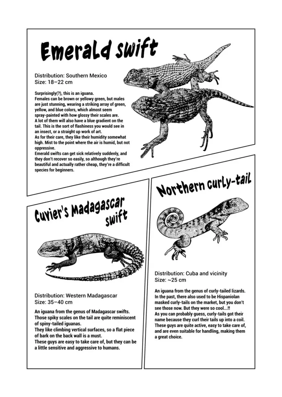 Reptile Secrets Chapter 121 page 17 - 