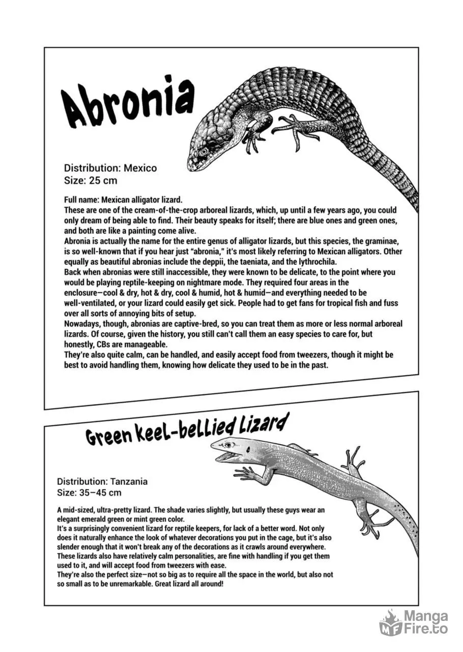 Reptile Secrets Chapter 121 page 18 - 