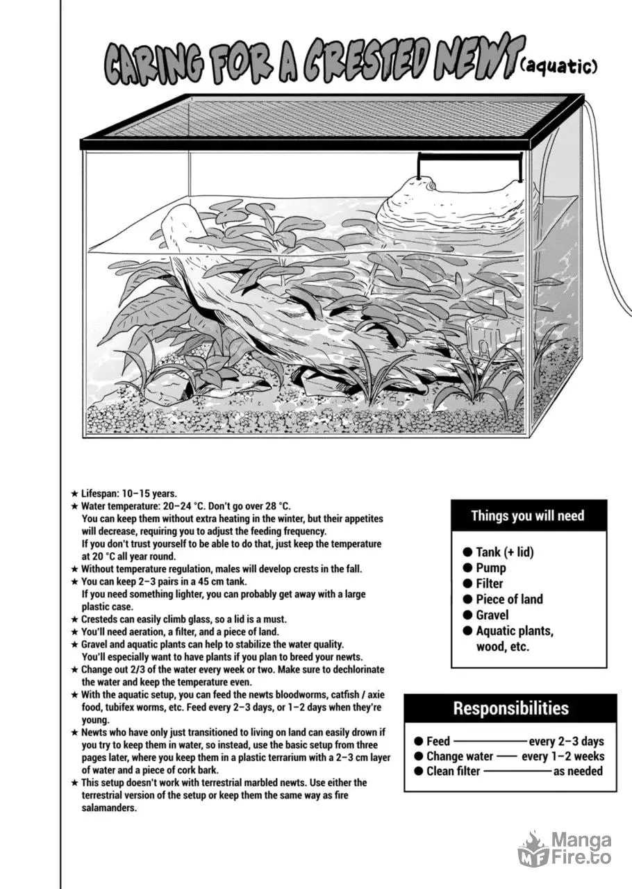 Reptile Secrets Chapter 122 page 12 - 