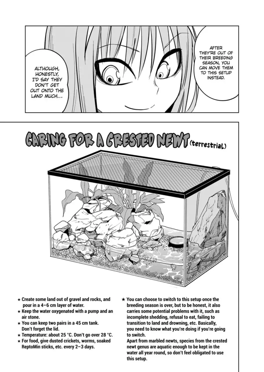 Reptile Secrets Chapter 122 page 13 - 
