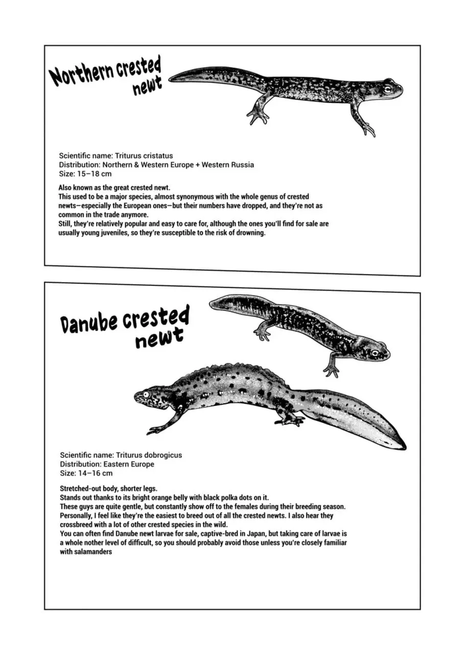 Reptile Secrets Chapter 122 page 16 - 