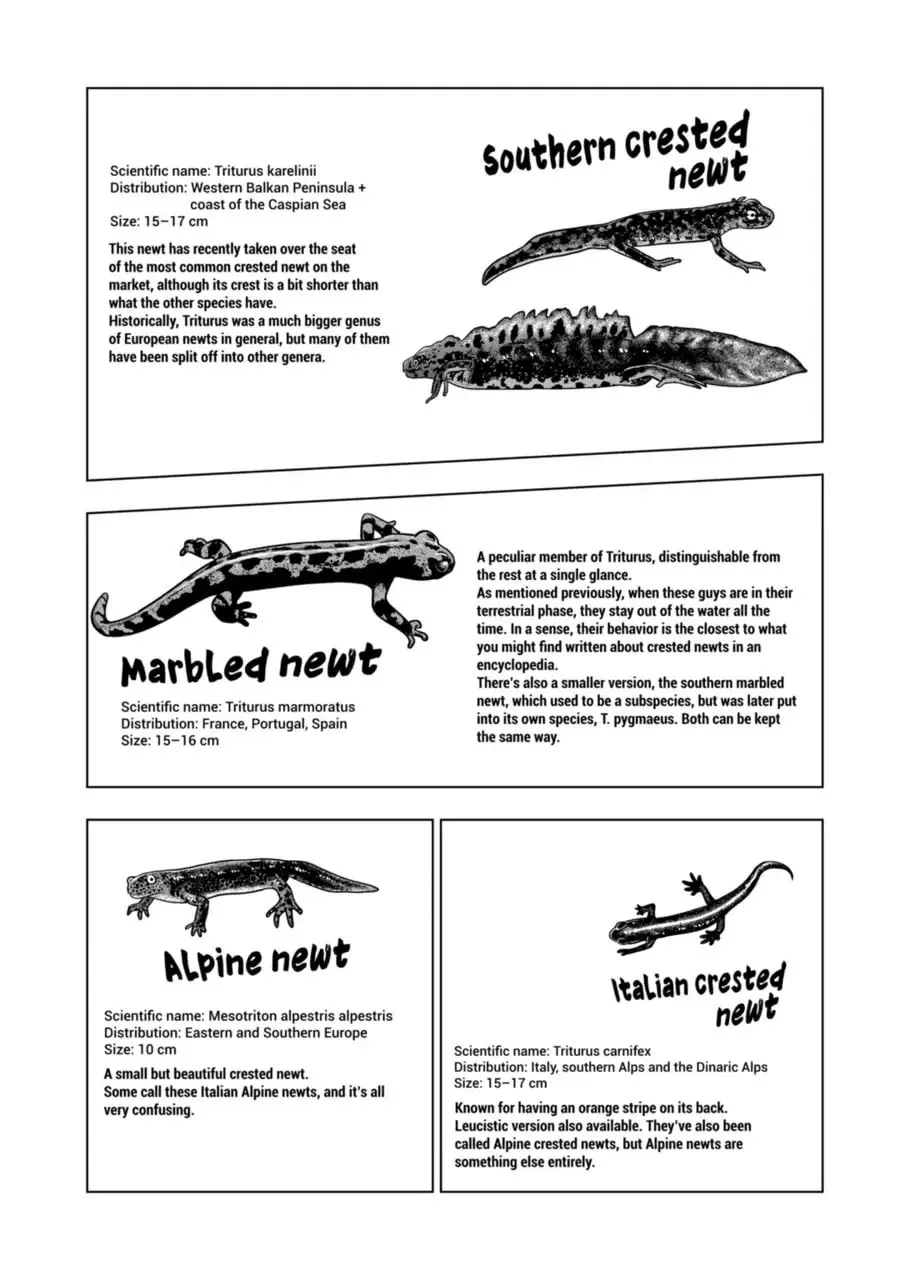 Reptile Secrets Chapter 122 page 17 - 