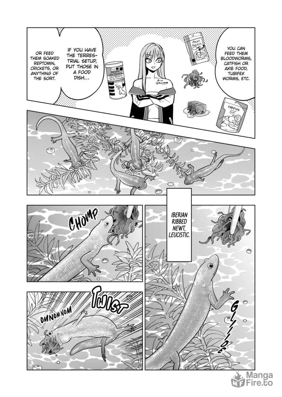 Reptile Secrets Chapter 122 page 18 - 