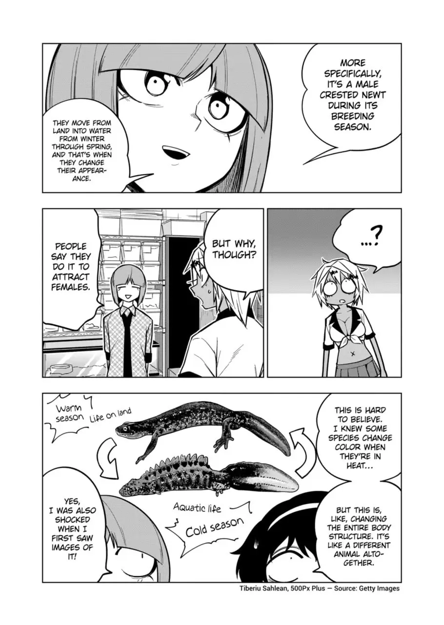 Reptile Secrets Chapter 122 page 4 - 