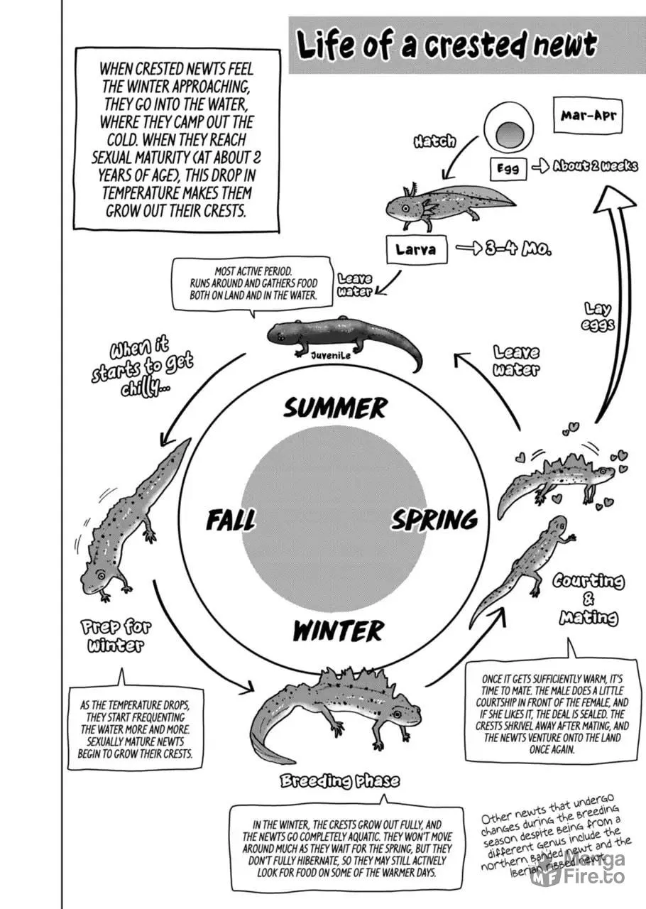 Reptile Secrets Chapter 122 page 6 - 