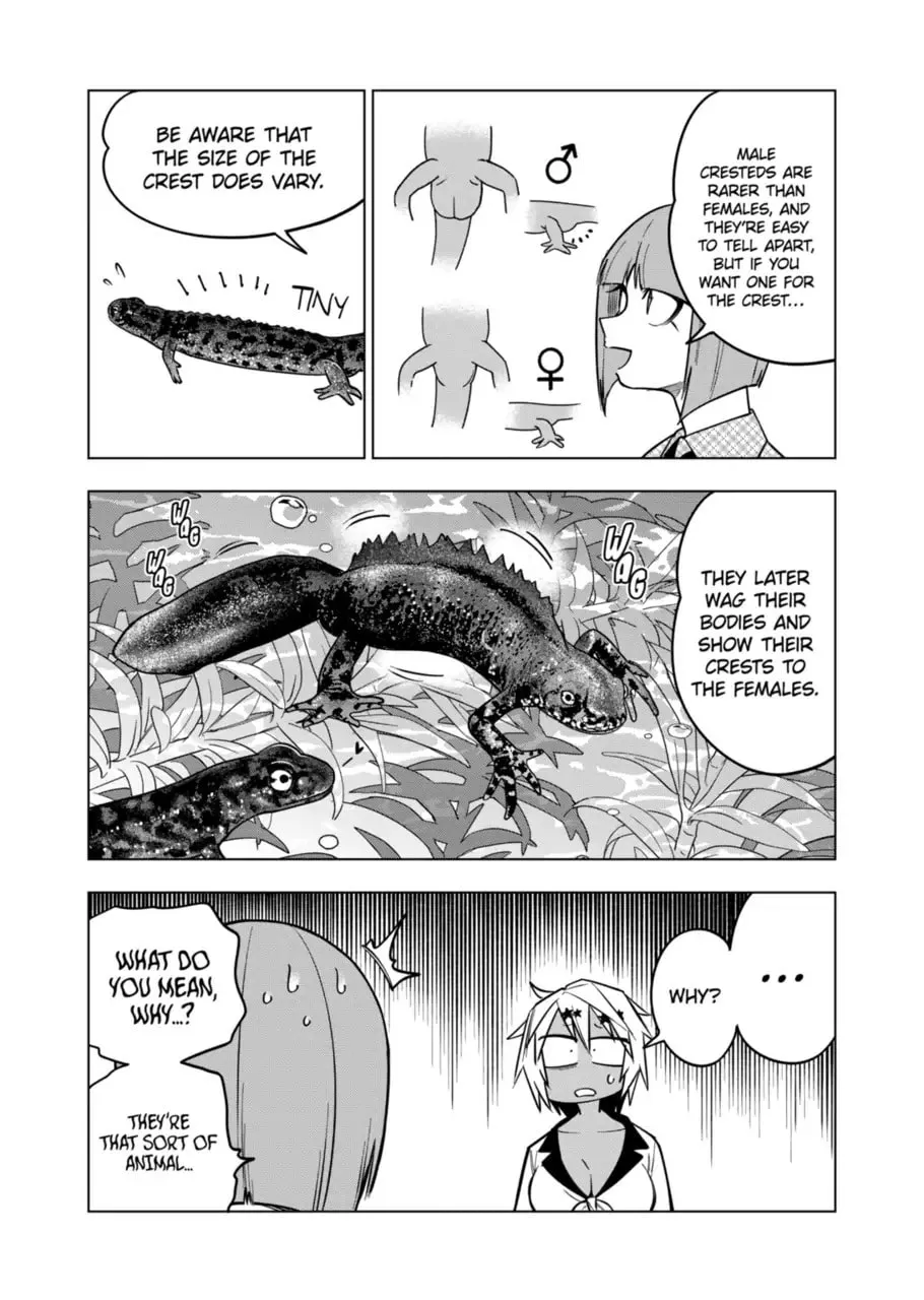 Reptile Secrets Chapter 122 page 7 - 