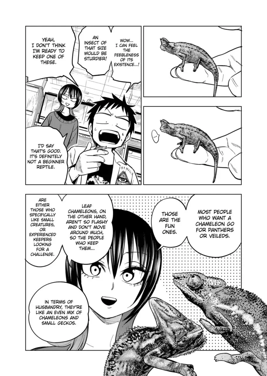 Reptile Secrets Chapter 123 page 13 - 