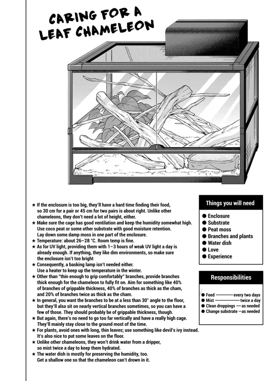 Reptile Secrets Chapter 123 page 14 - 