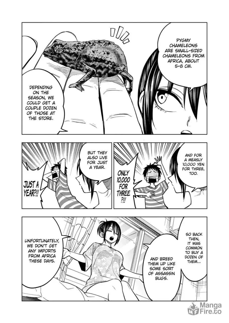 Reptile Secrets Chapter 123 page 5 - 