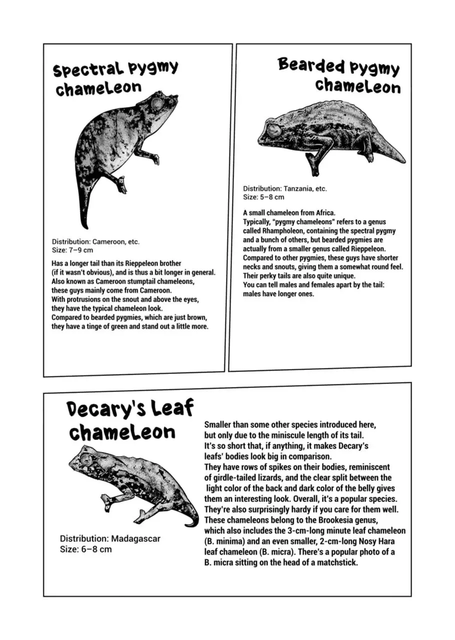 Reptile Secrets Chapter 123 page 7 - 