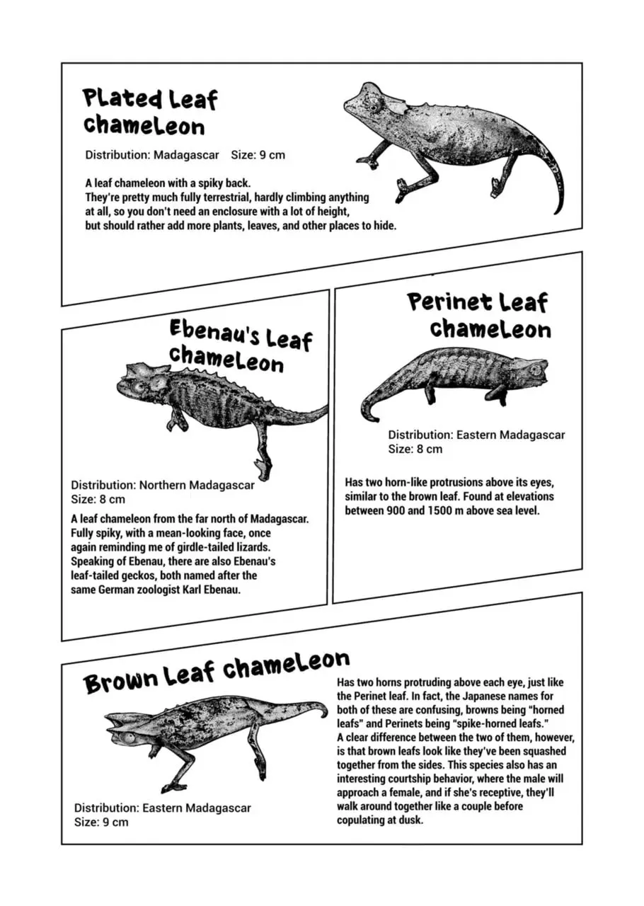 Reptile Secrets Chapter 123 page 8 - 