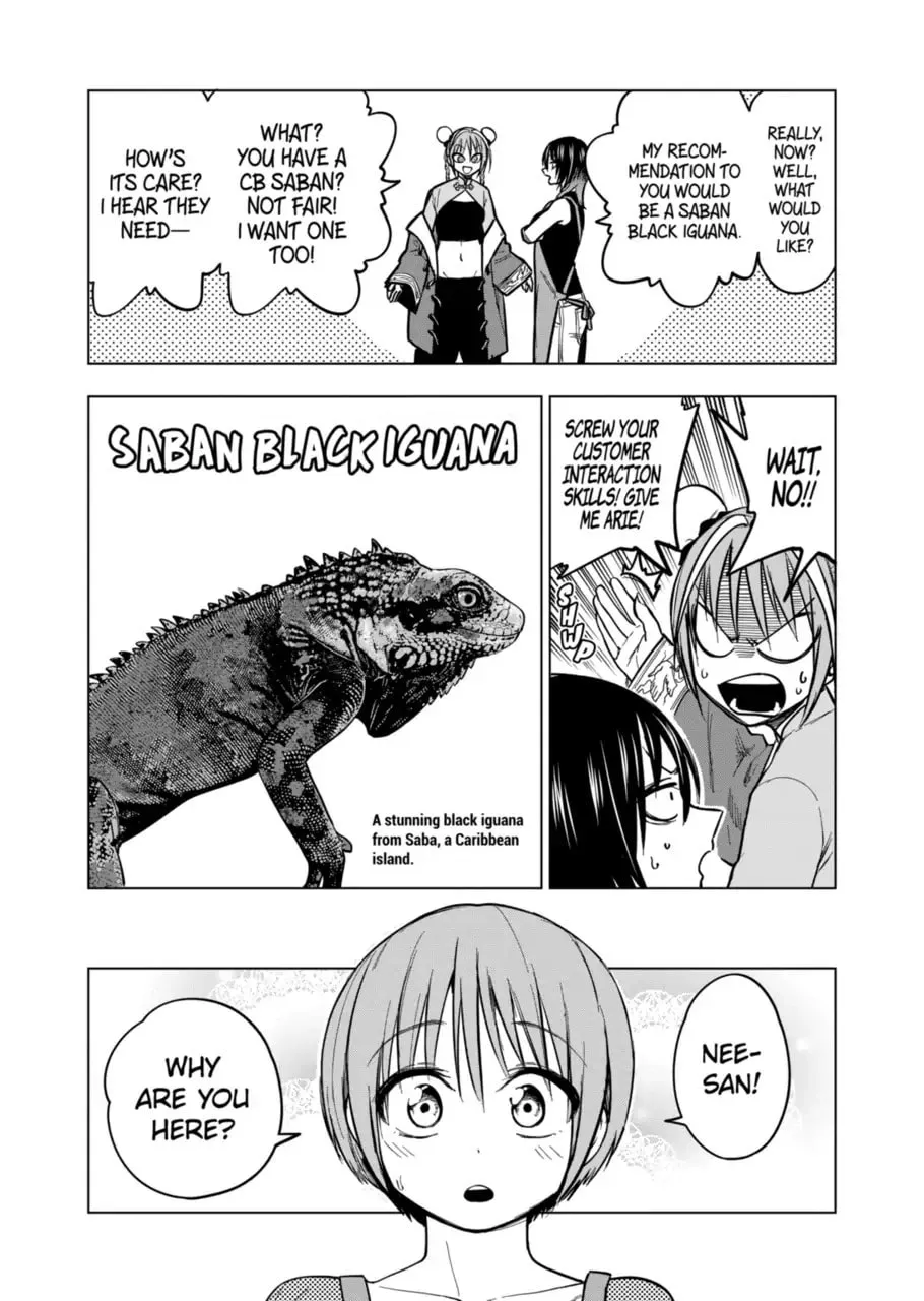 Reptile Secrets Chapter 124 page 2 - 