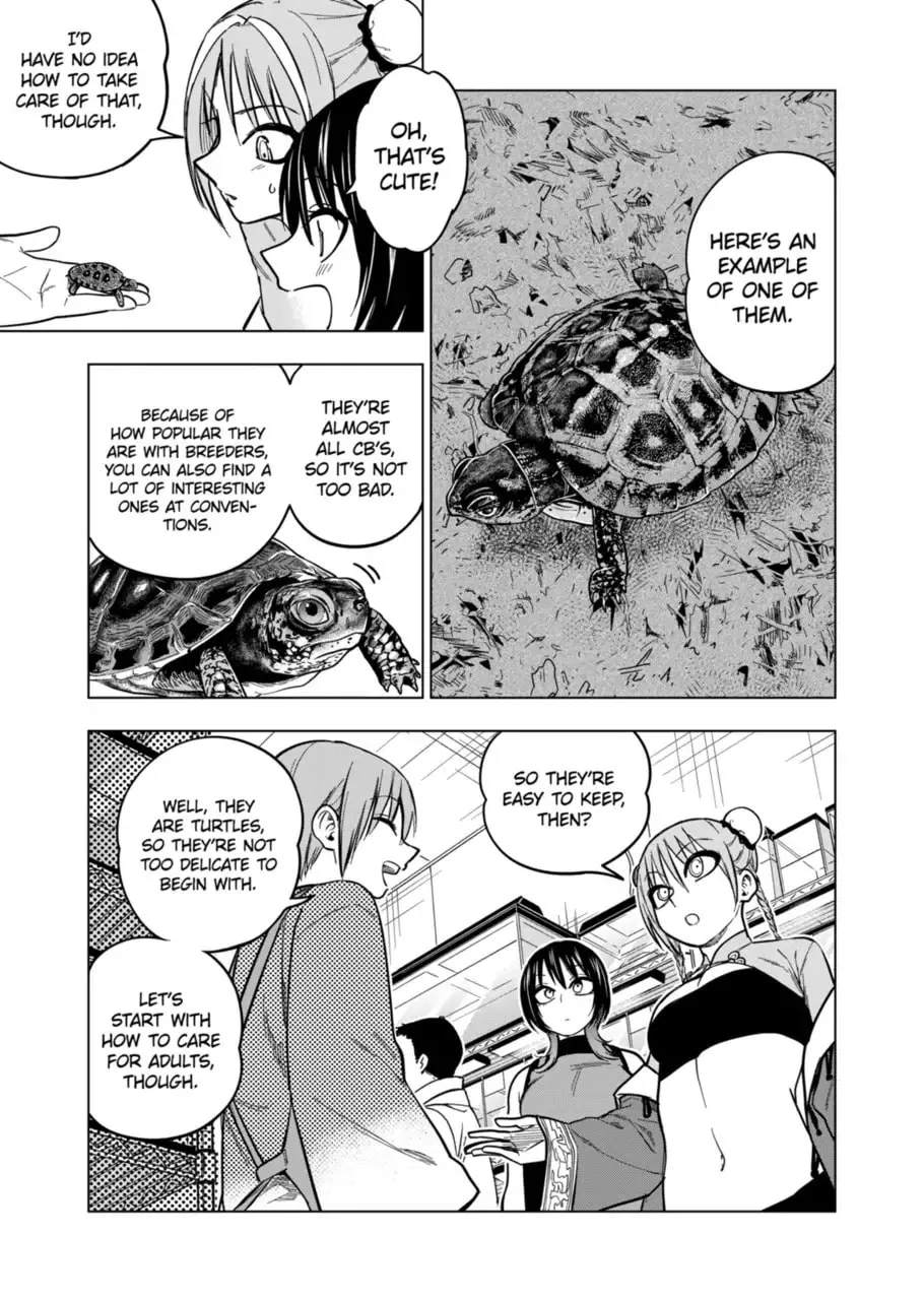 Reptile Secrets Chapter 124 page 11 - 