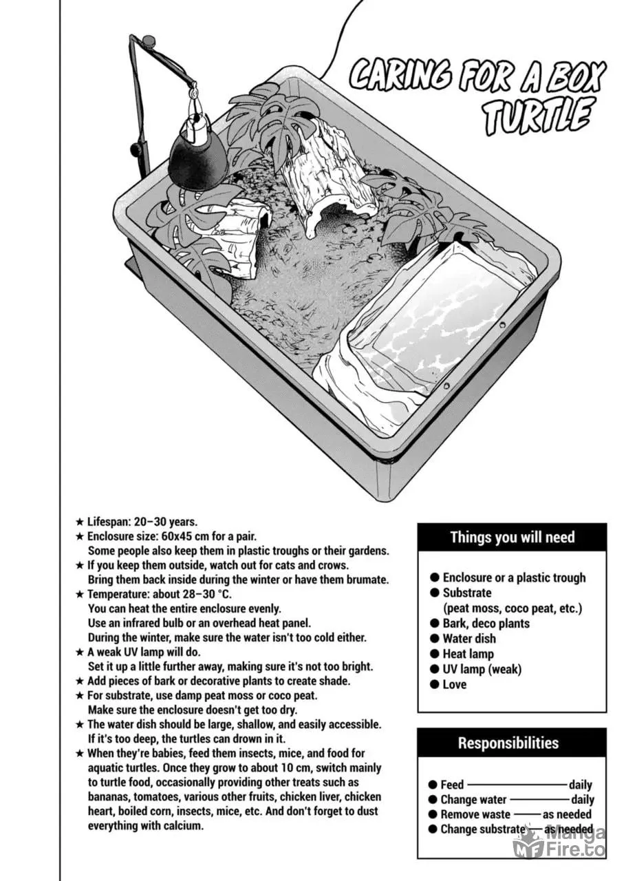Reptile Secrets Chapter 124 page 12 - 