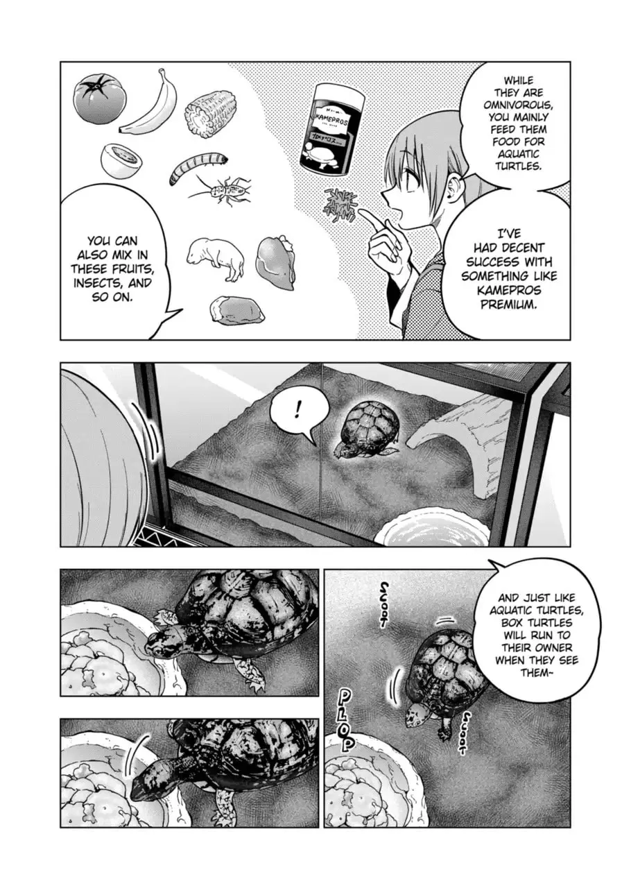 Reptile Secrets Chapter 124 page 13 - 