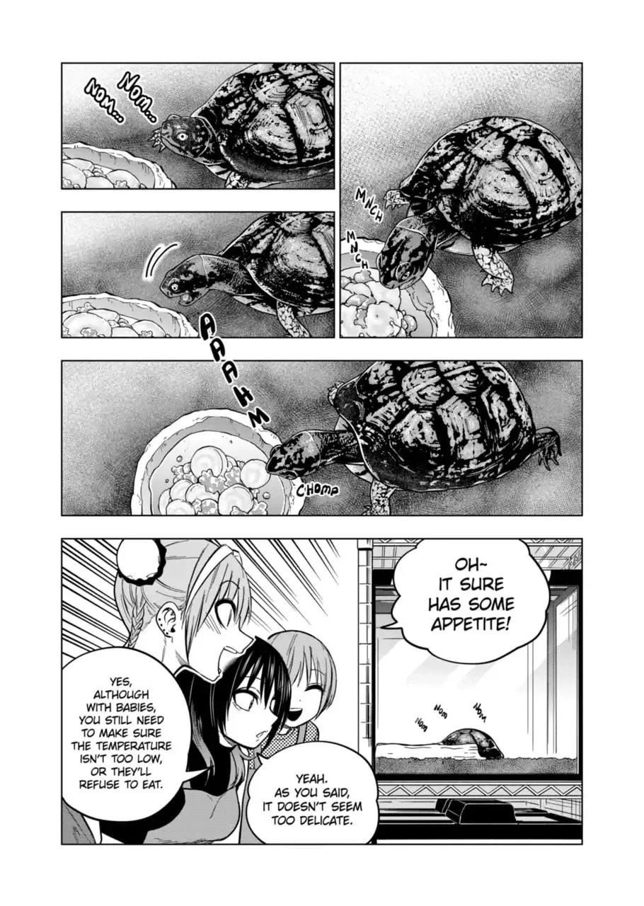 Reptile Secrets Chapter 124 page 14 - 