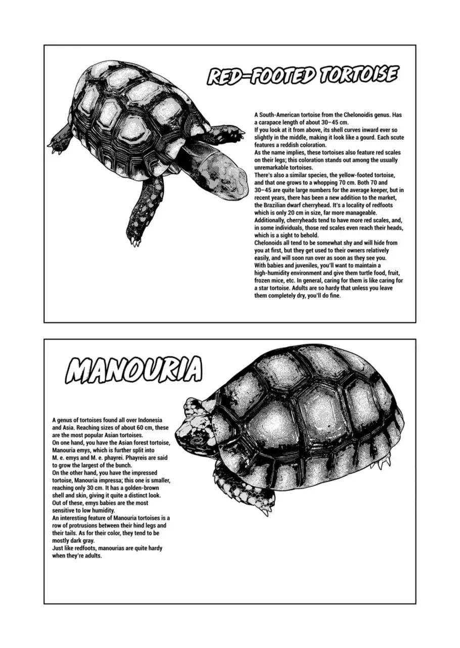 Reptile Secrets Chapter 124 page 17 - 