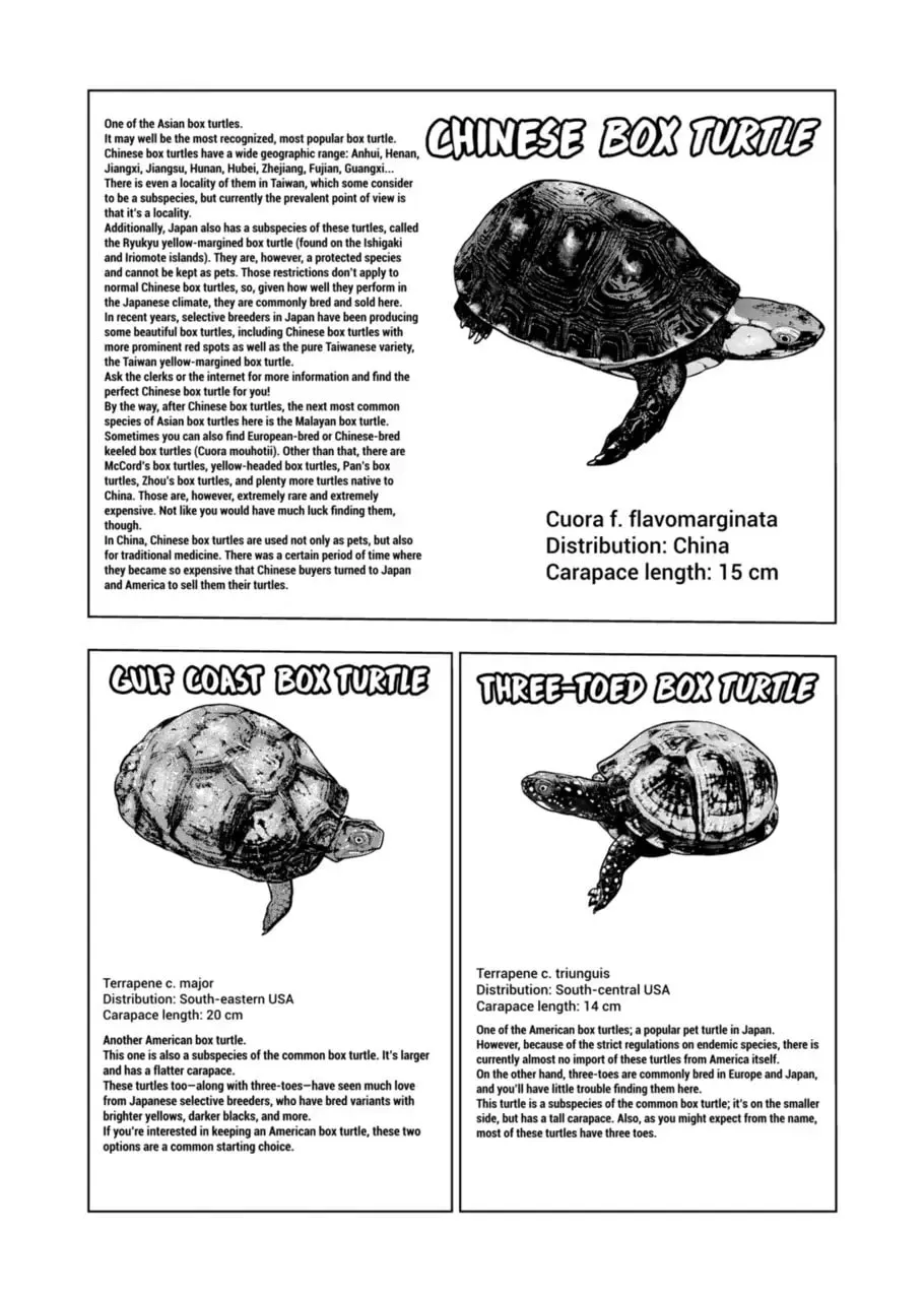 Reptile Secrets Chapter 124 page 7 - 