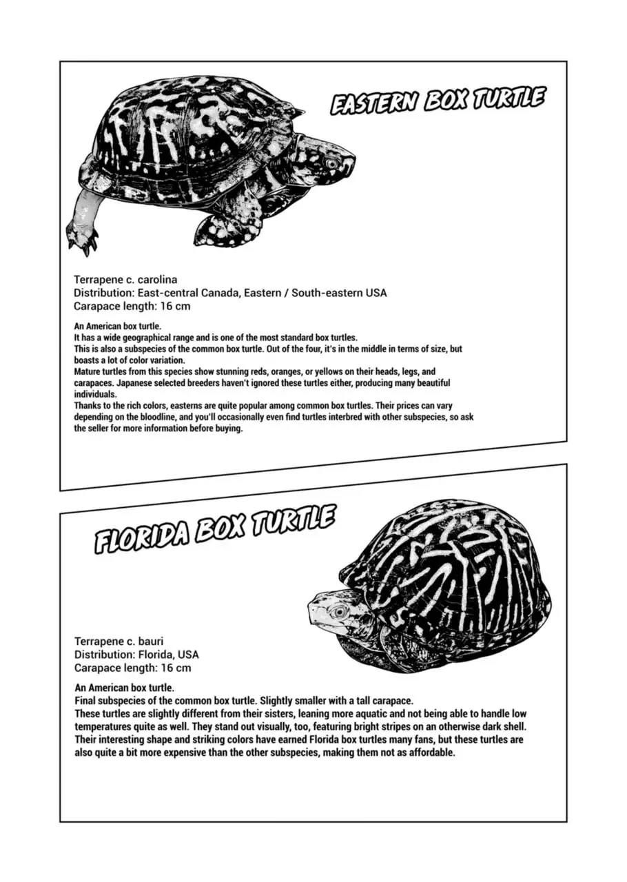 Reptile Secrets Chapter 124 page 8 - 