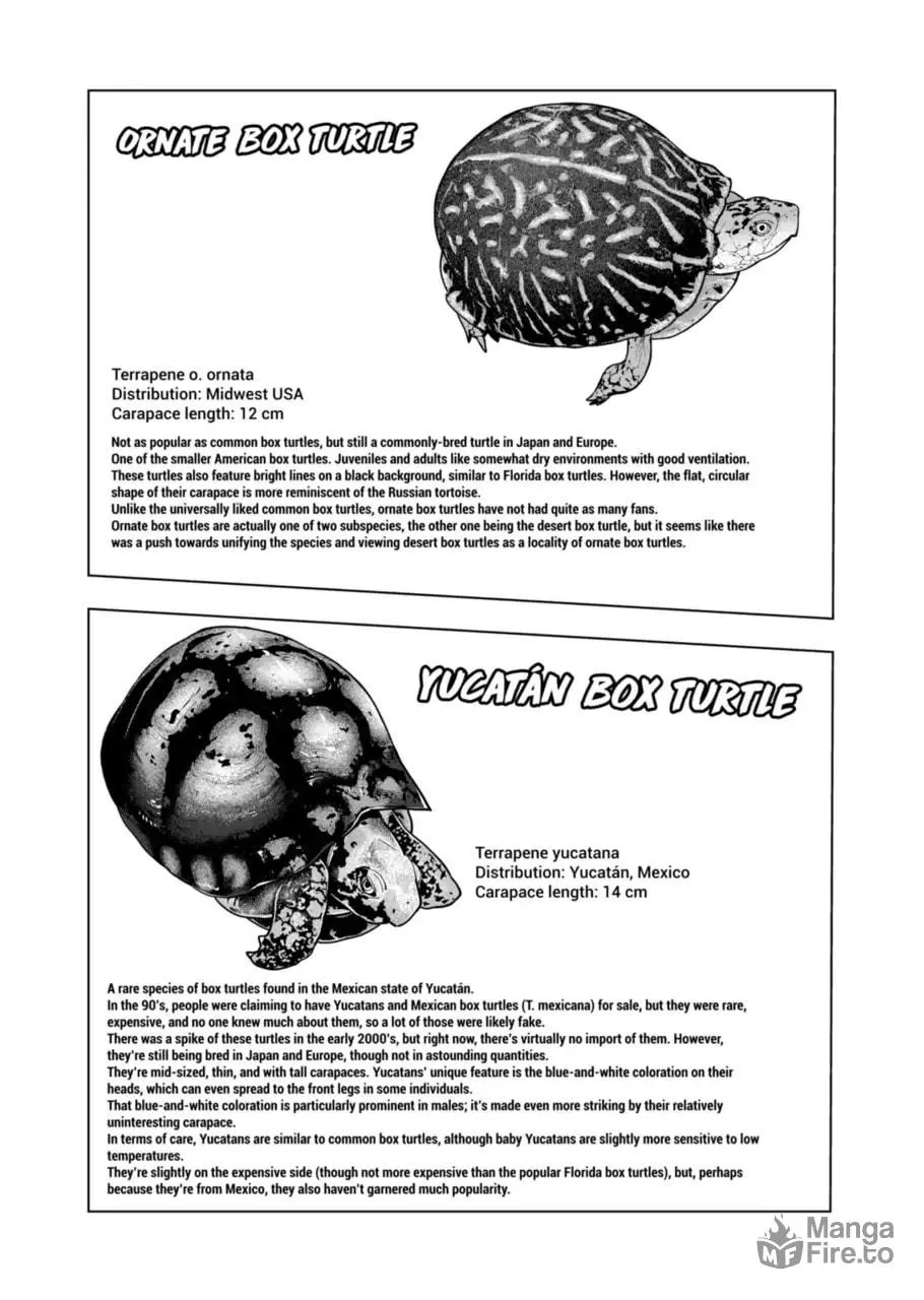 Reptile Secrets Chapter 124 page 9 - 