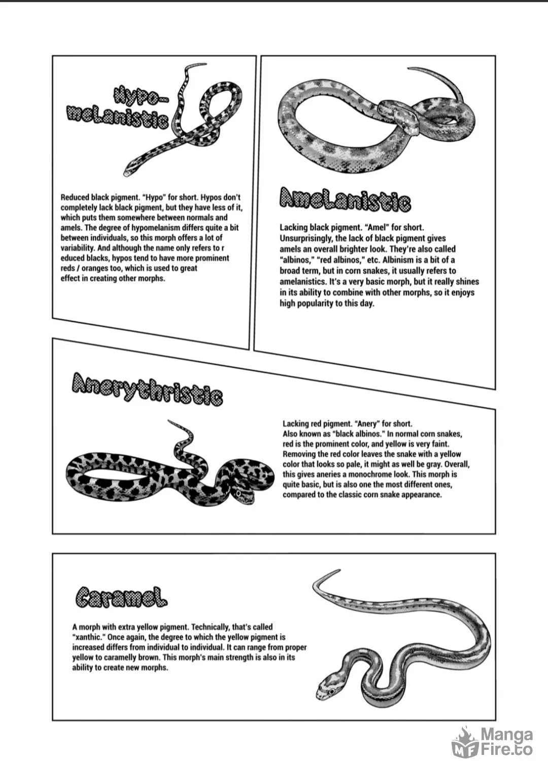Reptile Secrets Chapter 125 page 11 - 