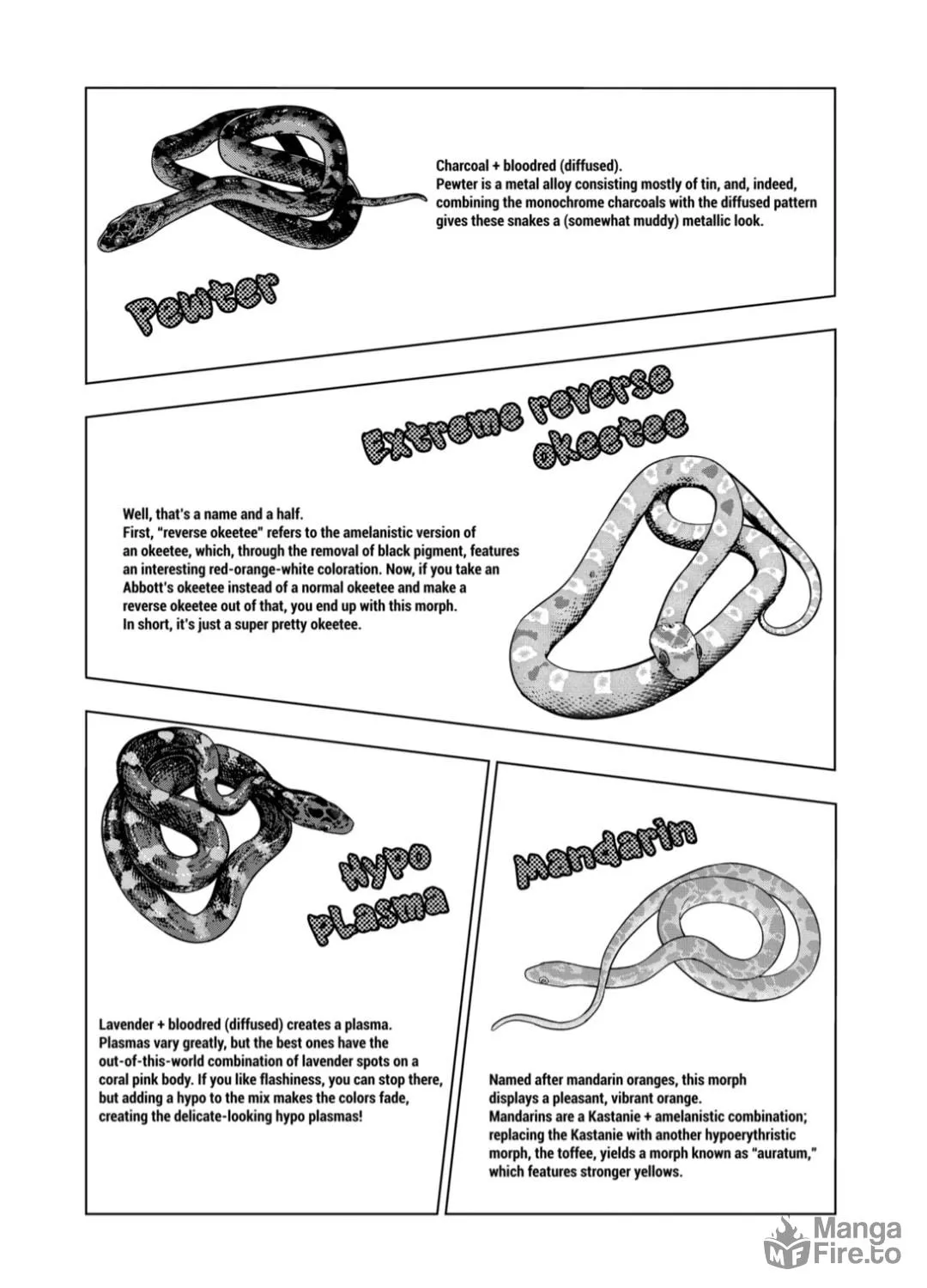 Reptile Secrets Chapter 125 page 17 - 