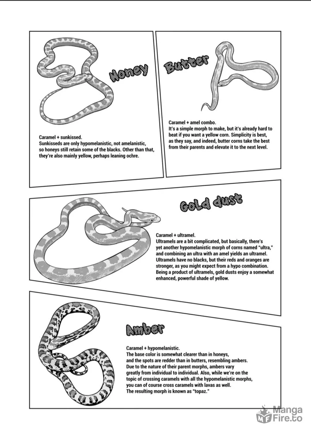 Reptile Secrets Chapter 125 page 19 - 