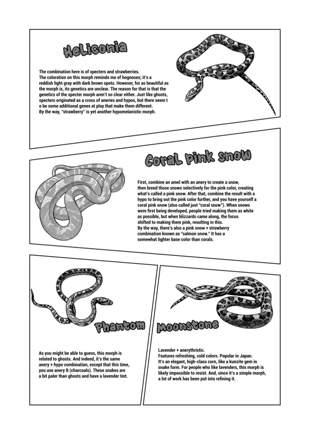 Reptile Secrets Chapter 125 page 21 - 