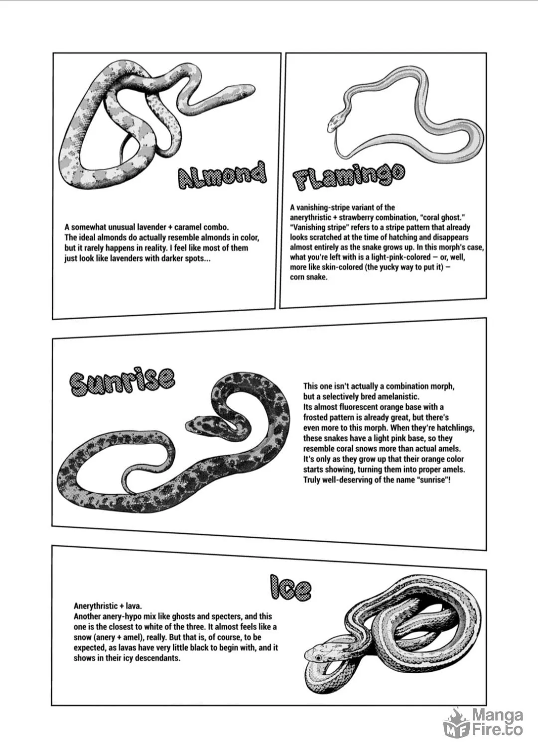 Reptile Secrets Chapter 125 page 23 - 