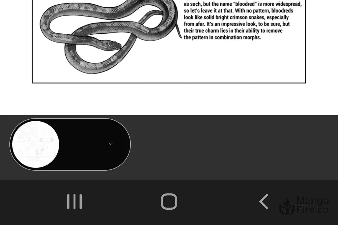 Reptile Secrets Chapter 125 page 42 - 