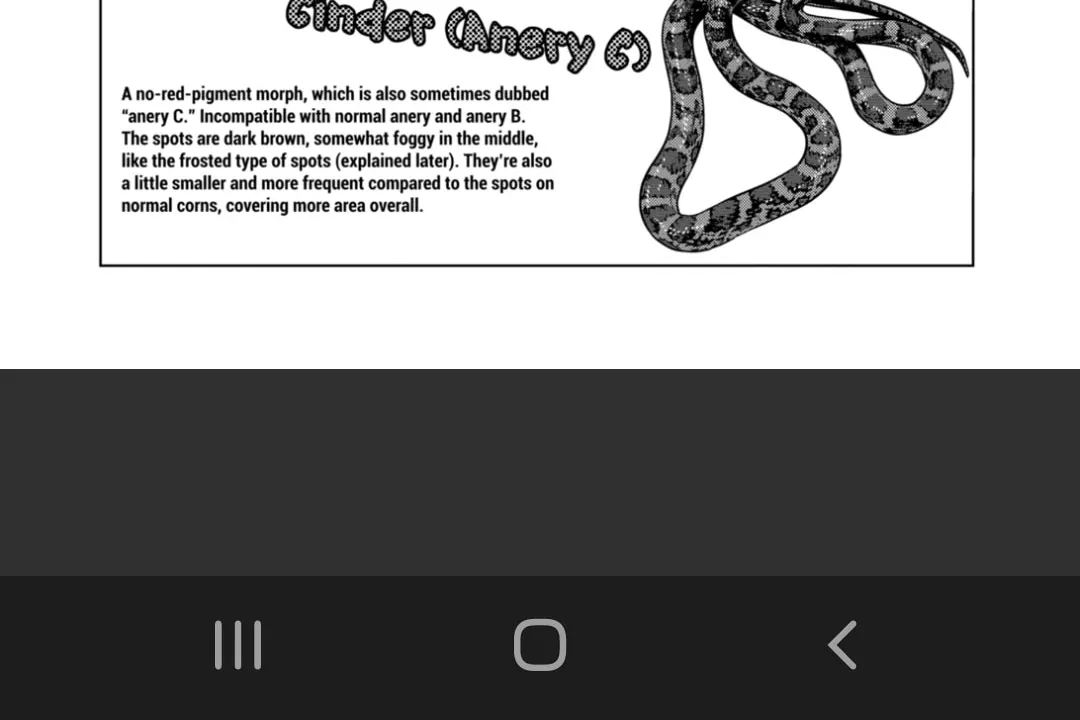 Reptile Secrets Chapter 125 page 44 - 