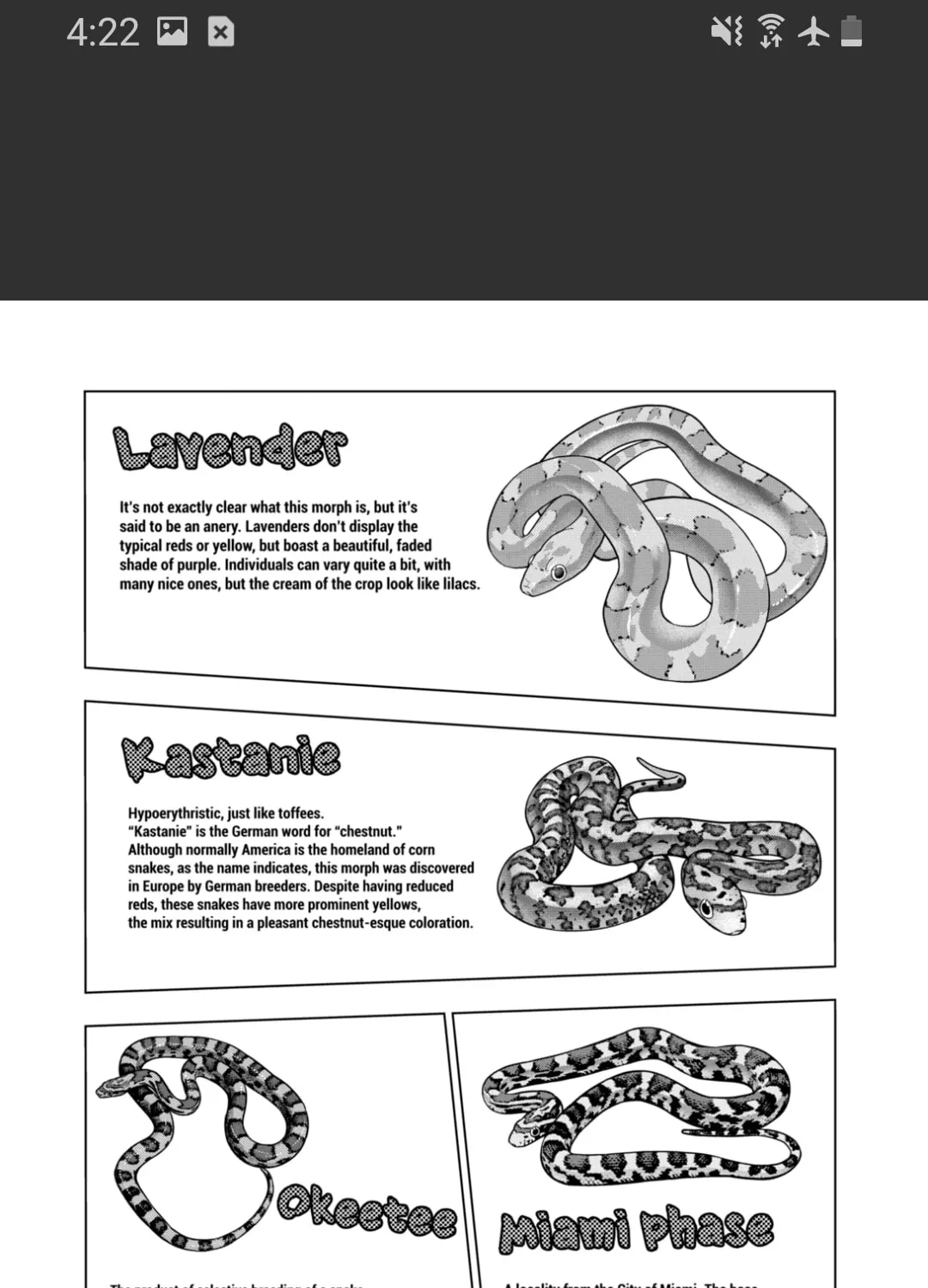 Reptile Secrets Chapter 125 page 45 - 
