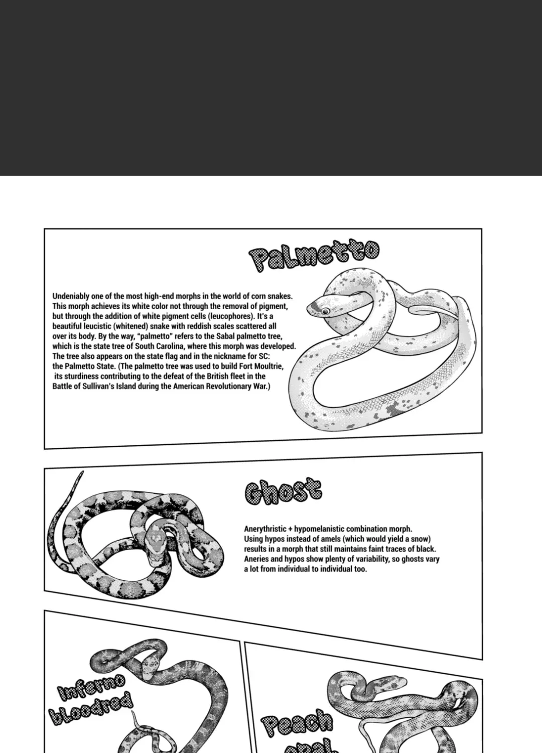 Reptile Secrets Chapter 125 page 51 - 