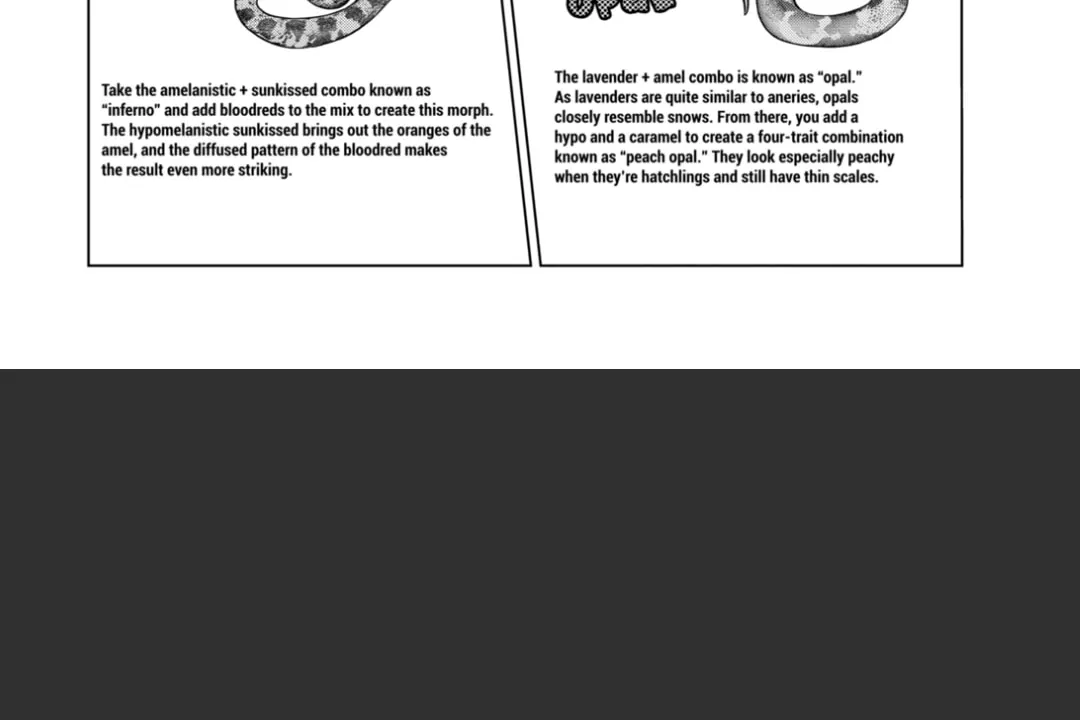 Reptile Secrets Chapter 125 page 52 - 