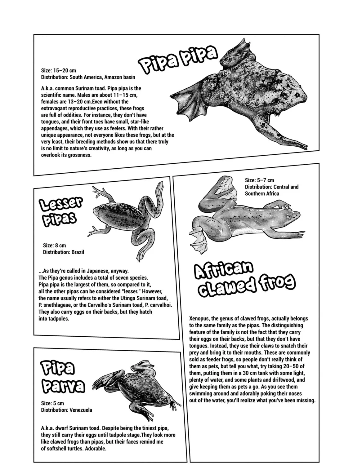 Reptile Secrets Chapter 126 page 33 - 