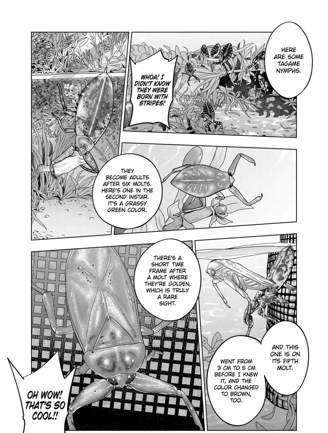 Reptile Secrets Chapter 127 page 11 - 