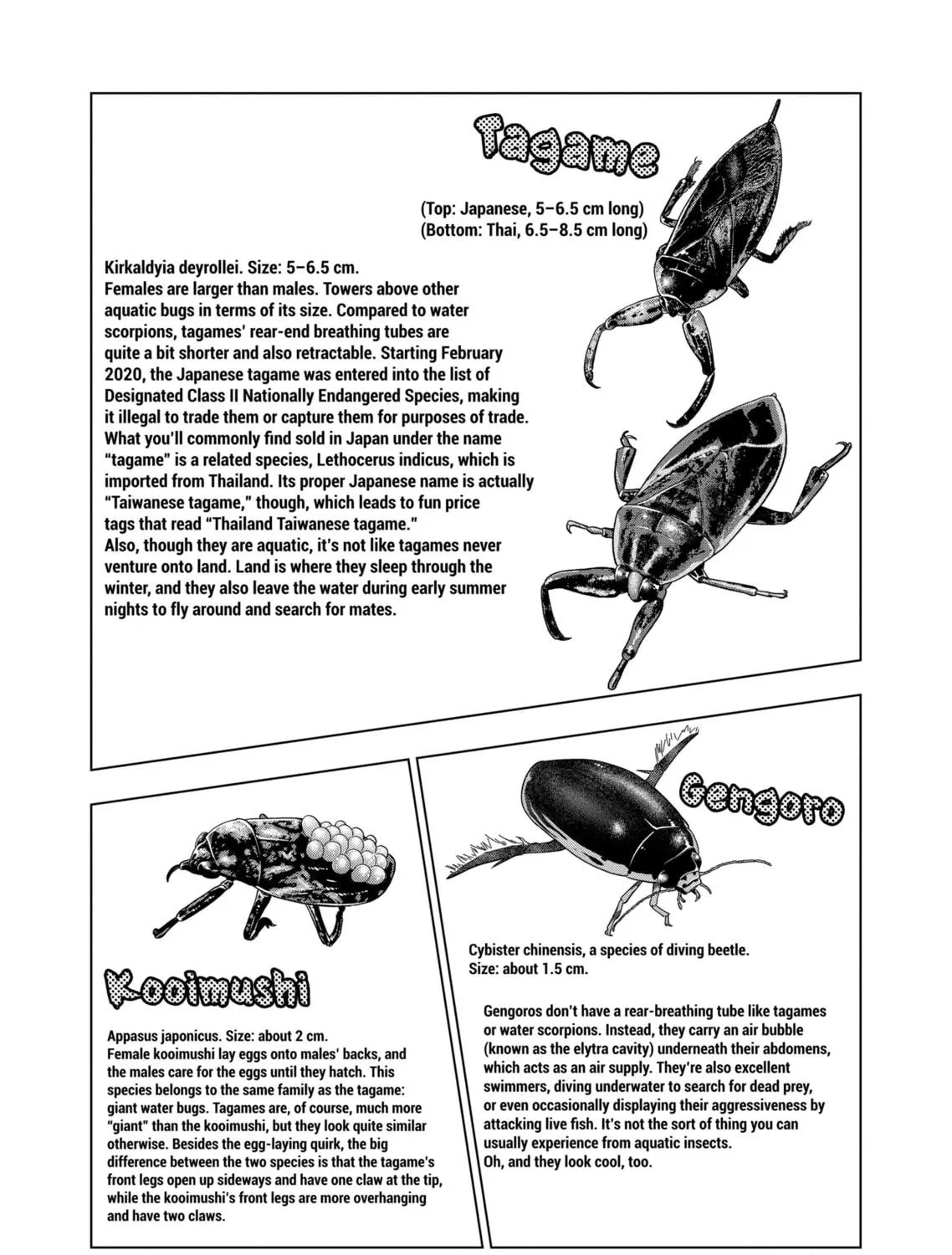 Reptile Secrets Chapter 127 page 19 - 