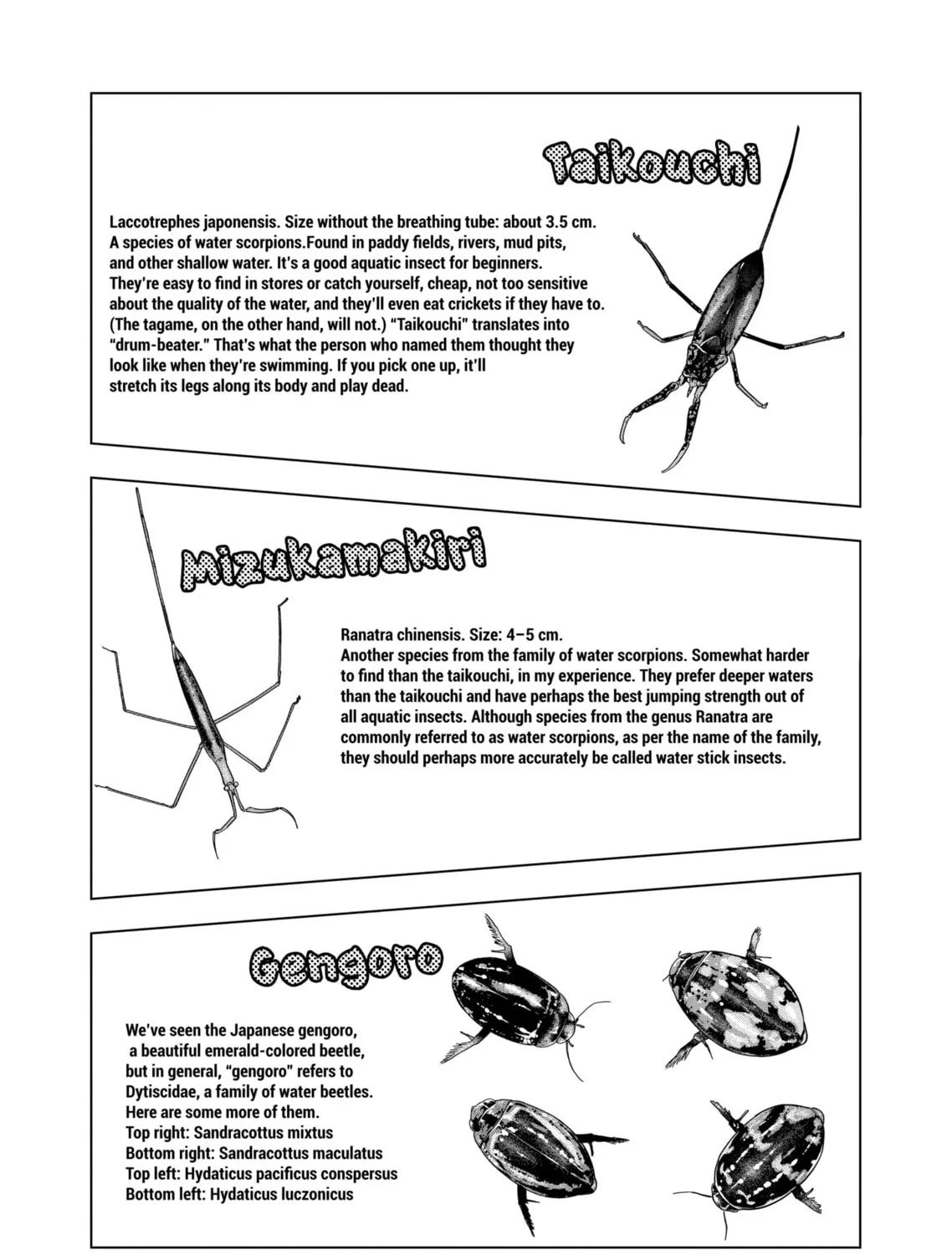Reptile Secrets Chapter 127 page 21 - 