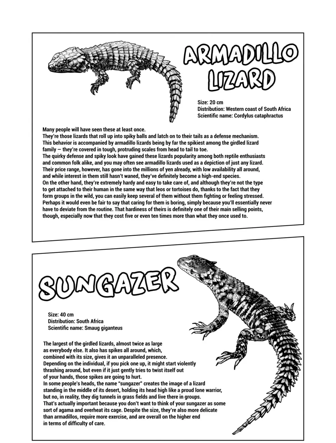 Reptile Secrets Chapter 128 page 13 - 