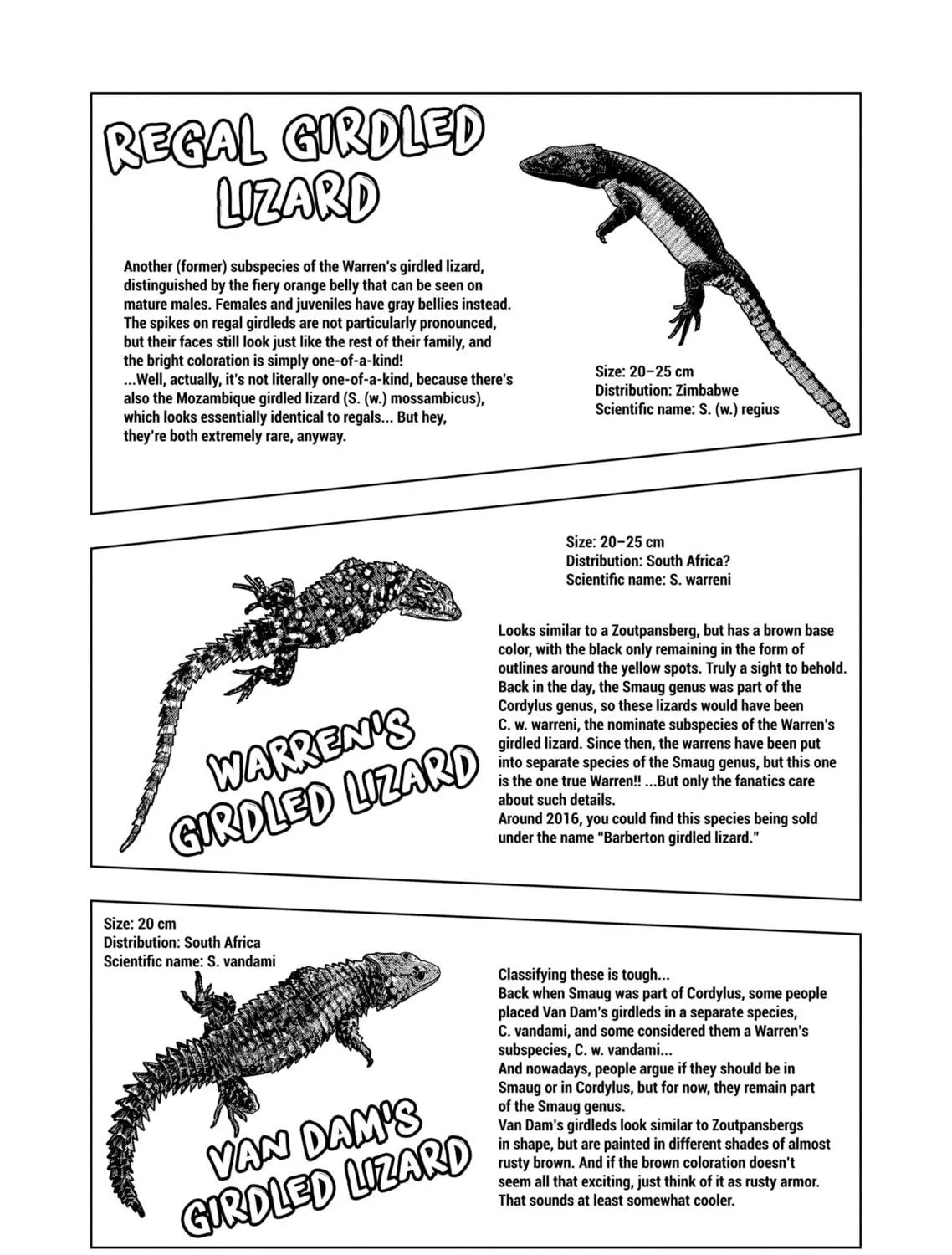 Reptile Secrets Chapter 128 page 17 - 