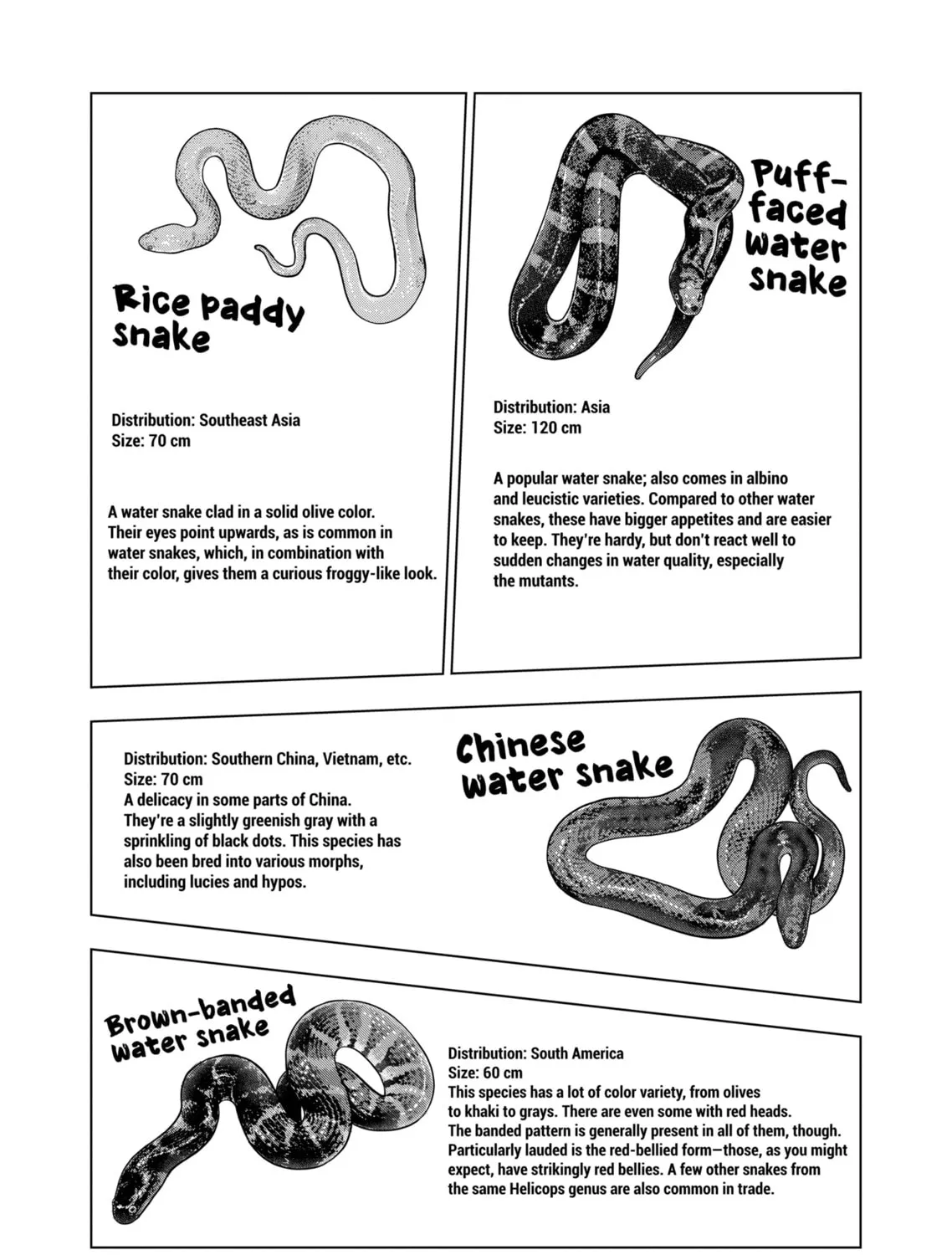 Reptile Secrets Chapter 129 page 15 - 