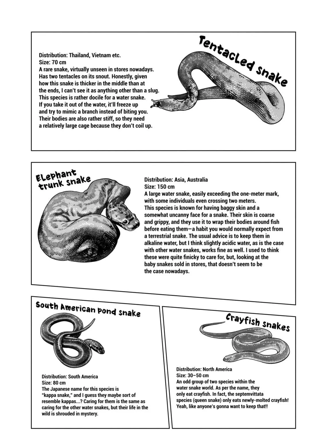 Reptile Secrets Chapter 129 page 17 - 