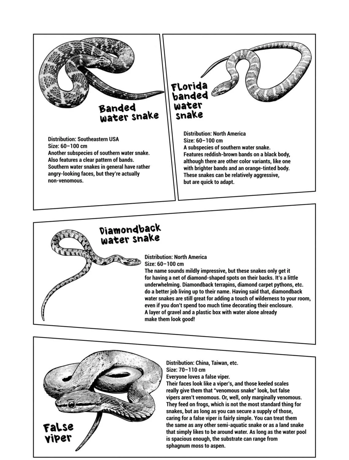 Reptile Secrets Chapter 129 page 23 - 
