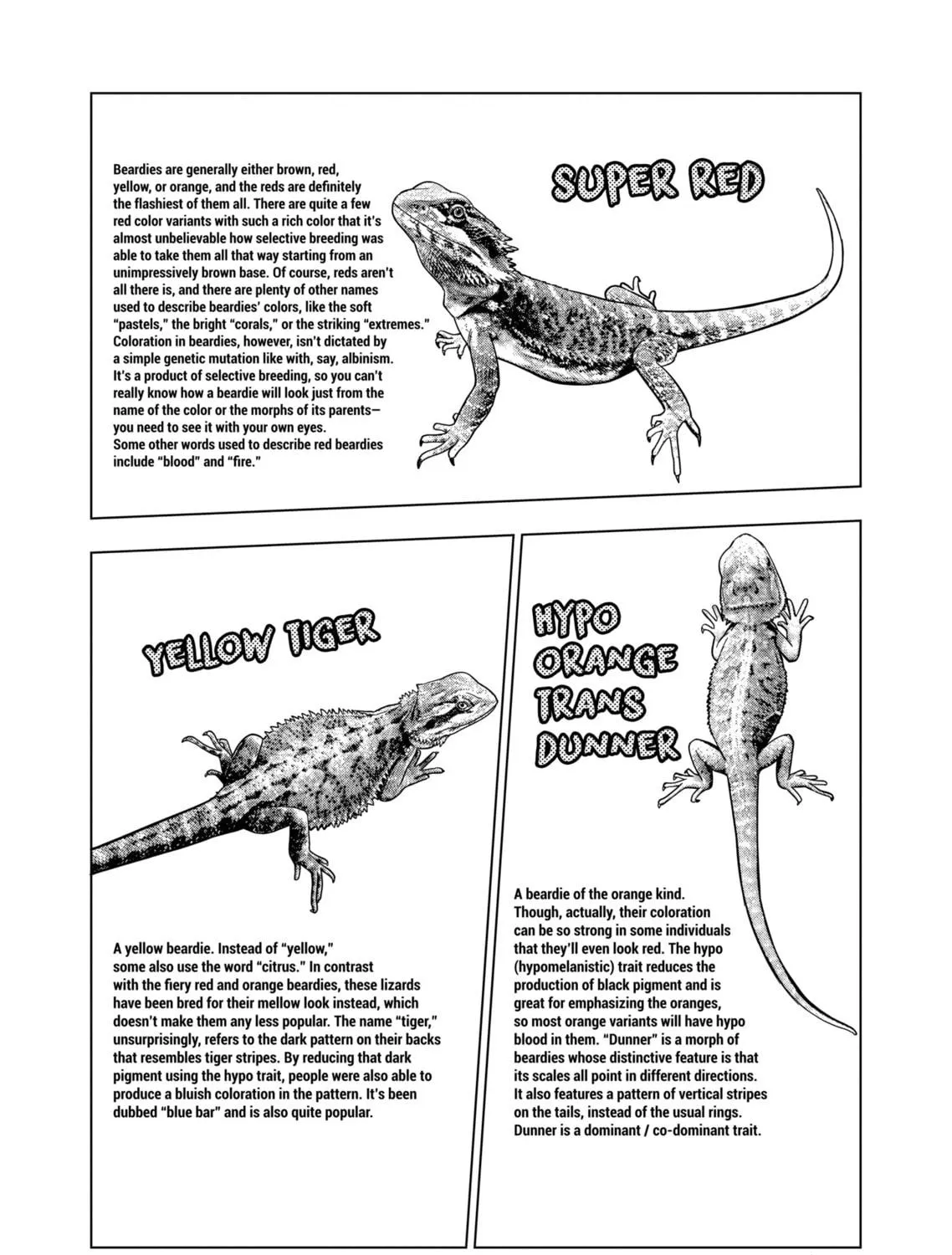 Reptile Secrets Chapter 131 page 29 - 