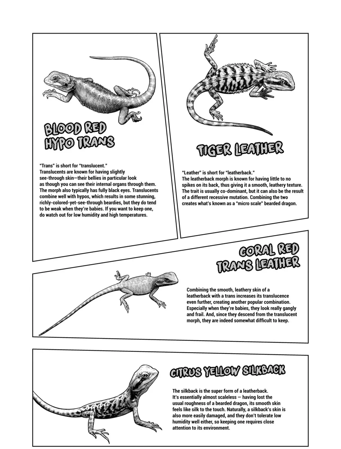 Reptile Secrets Chapter 131 page 31 - 