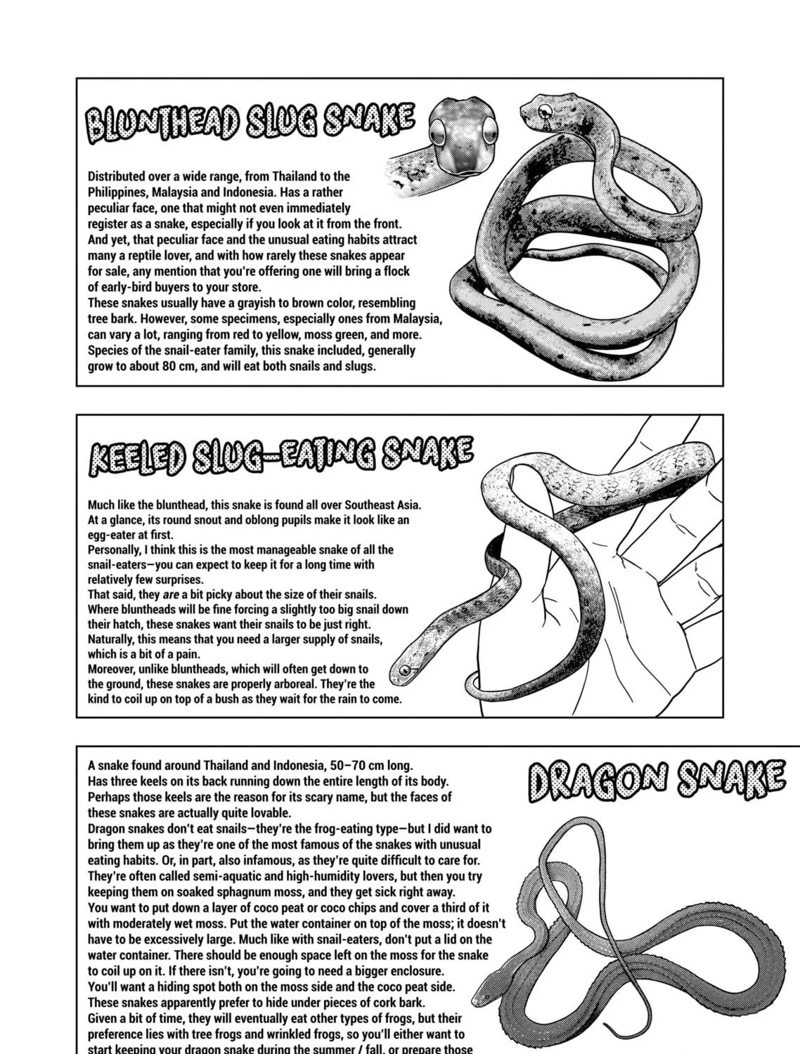 Reptile Secrets Chapter 133 page 19 - 