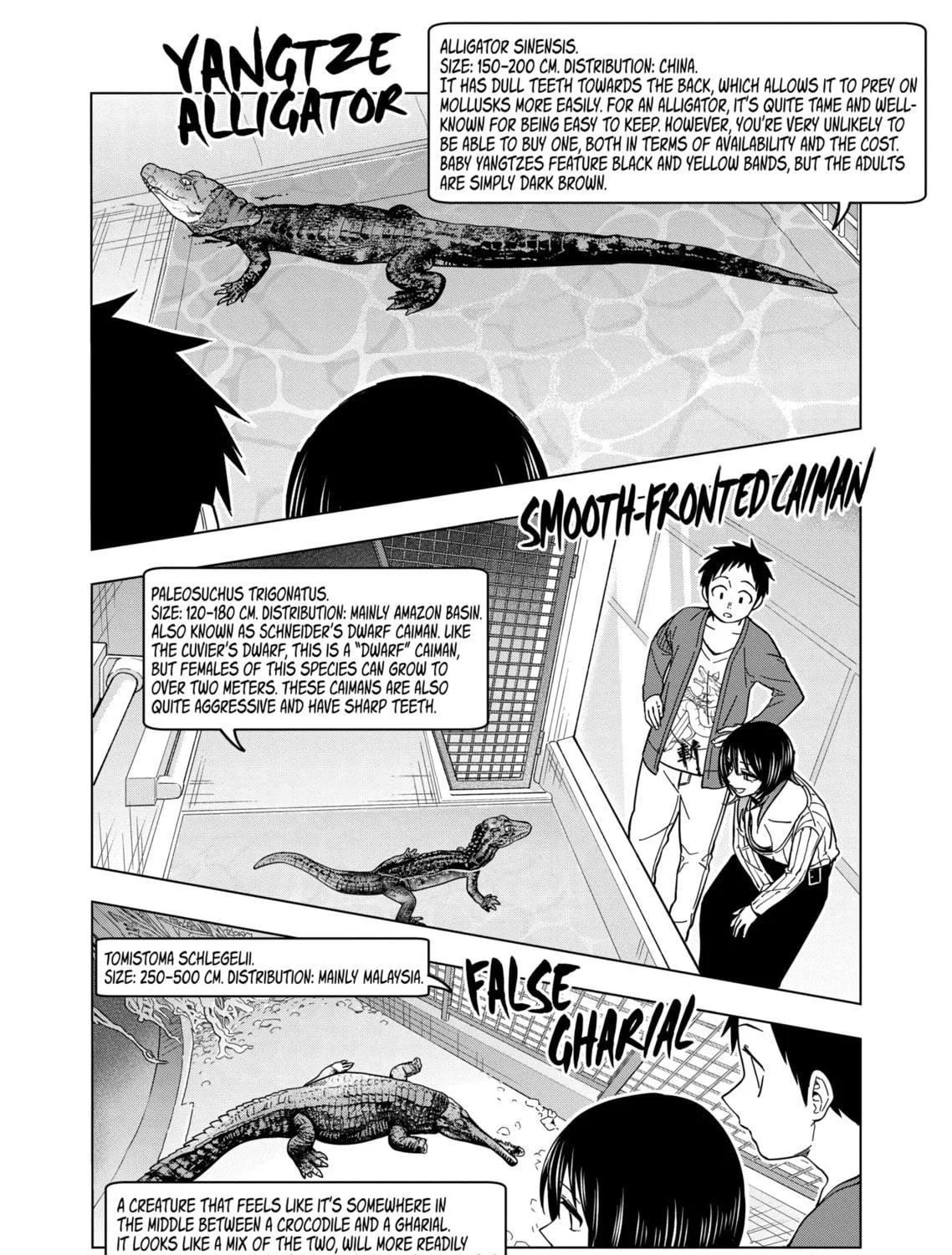 Reptile Secrets Chapter 134 page 19 - 