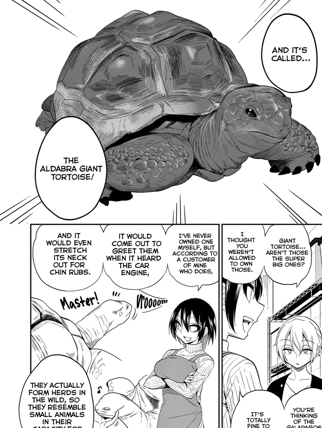 Reptile Secrets Chapter 14 page 13 - 