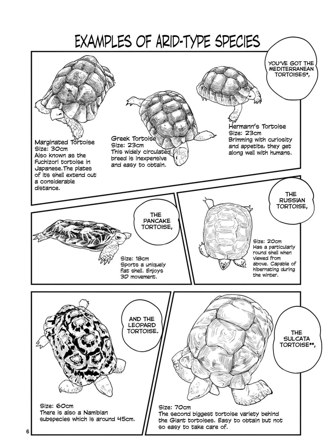 Reptile Secrets Chapter 15 page 13 - 